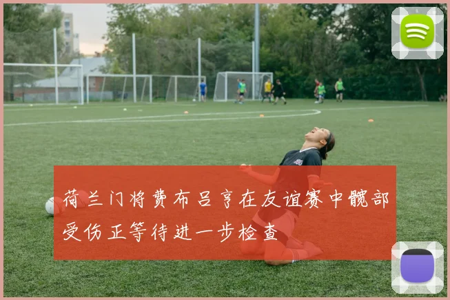 荷兰门将费布吕亨在友谊赛中髋部受伤正等待进一步检查